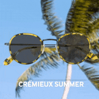 Cremieux brand sunglasses glasses tree GIF