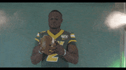 North Dakota State Bison GIF by NDSU Athletics