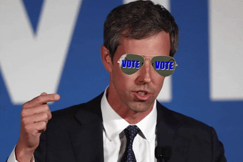 transgreaser vote texas 2022 voting GIF