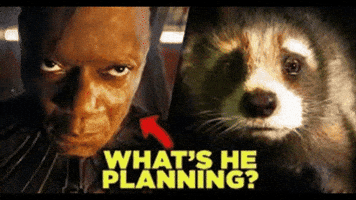 Rocket Raccoon Instagram GIF
