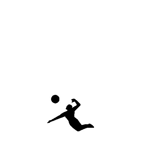 Manhattan Beach Mbo Sticker by AVP Pro Beach Volleyball Tour