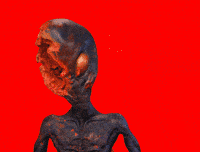 Rock And Roll GIF by The Horror Section