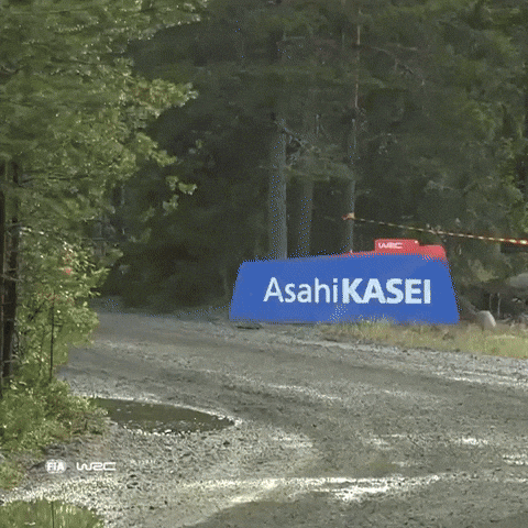 Motorsport Splash GIF by FIA World Rally Championship