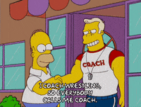 homer simpson episode 20 GIF