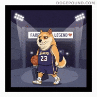 Sad Lebron James GIF by Doge Pound