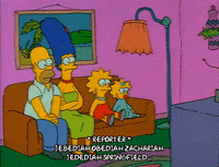 Season 1 GIF by The Simpsons
