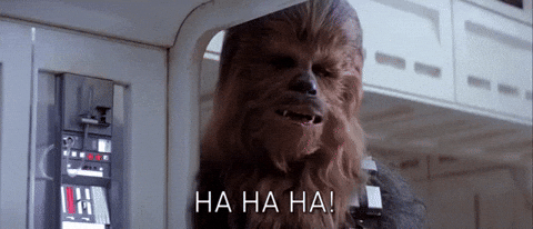 Empire Strikes Back Chewie GIF by Star Wars