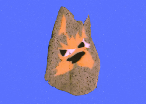 Chips and Cookies
