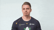 Dota 2 Smh GIF by Alliance