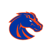 Idaho Blue Turf Sticker by Boise State Broncos