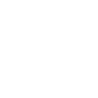 Ducati Torino Sticker by Diviesto
