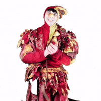 Top Bravo GIF by Nespolo Giullare