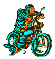 Bike Racing Sticker by Pol-Edouard