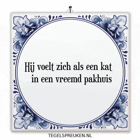 Humor Nl GIF by Tegelspreuken.nl