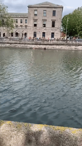 Two People Rescued From Dublin's River Liffey After Jumping In to Save Dog