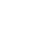 Ufc Bjj Sticker by Neale Hoerle