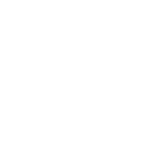 Ufc Bjj Sticker by Neale Hoerle