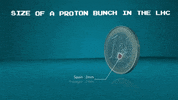 GIF by CERN