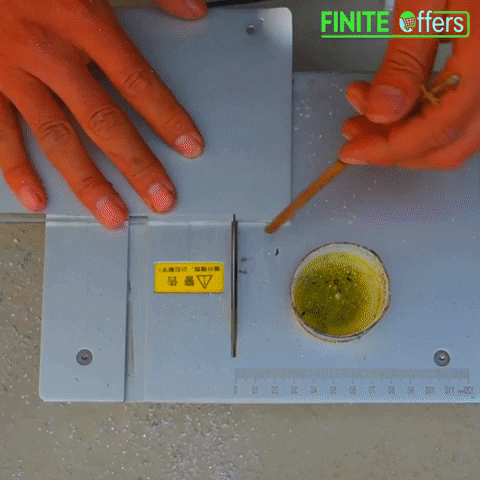 FiniteOffers giphyupload GIF