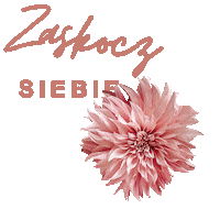 zaskoczmame warsztaty zaskocz mame zaskoczmame warsztaty zaskocz mame Sticker