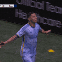 Celebrate Lets Go GIF by Major League Soccer