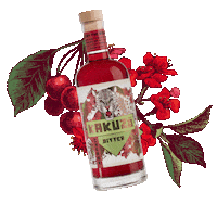 Kakuzo kakuzo cherrybitter yuzuginliqueur kakuzospirits Sticker