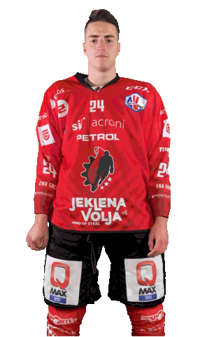 Hockey Hokej Sticker by HDD SIJ Acroni Jesenice