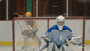 Mighty Ducks Goal GIF by Disney+