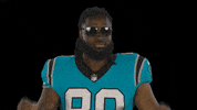 Let Me See North Carolina GIF by Carolina Panthers