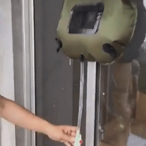 Tafest giphygifmaker GIF