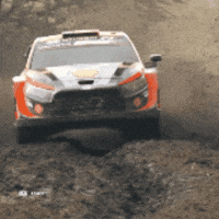 Motorsport Driving GIF by FIA World Rally Championship