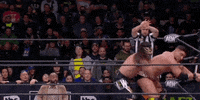 All Elite Wrestling GIF by AEWonTV