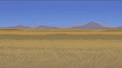 battle desert GIF by South Park 