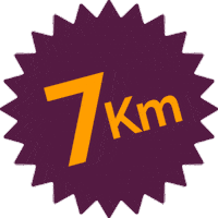 Corrida Leve Sticker by Leve Saúde