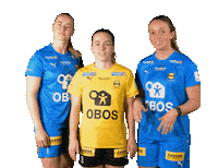 Toppserien Forza Birdsa Sticker by LSK Kvinner FK