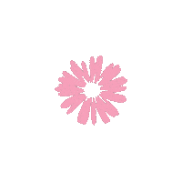 Scrapgami flower bow flor accessories Sticker