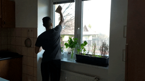 EntrenadorWellness giphygifmaker limpiar ventana GIF