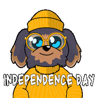 Independence Day Dog Sticker by BoDoggos