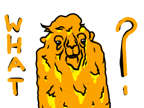 what the f Sticker by Proust Téo