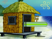 season 6 GIF by SpongeBob SquarePants