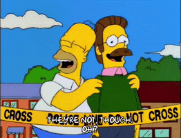 homer simpson episode 24 GIF