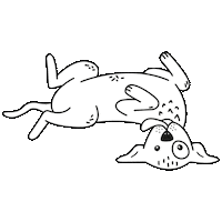 Dog Hund Sticker by STRAYZ
