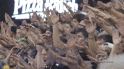 Iowa Hawkeyes Football GIF by University of Iowa Hawkeyes Athletics
