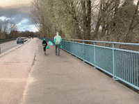 Fans GIF by SV Werder Bremen