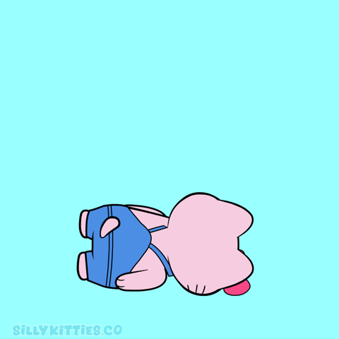 Happy Birthday Party GIF by Silly Kitties