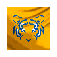 Tigres Uanl Soccer Sticker by Club Tigres