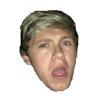 niall horan STICKER by imoji