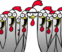 Chicken Bro GIF by happydog