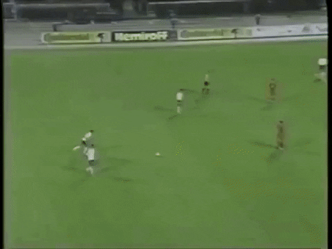 sportalgif giphygifmaker rashadsadygov GIF