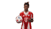 Fc Bayern Football Sticker by Bundesliga